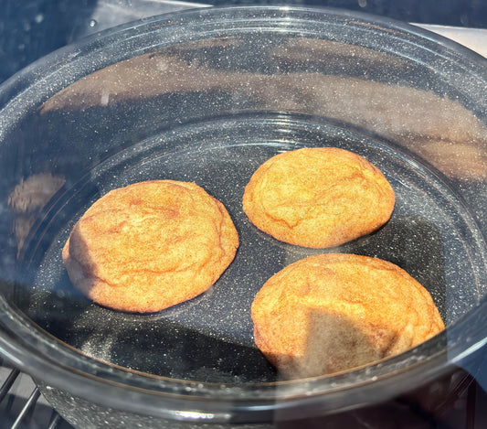 Snickerdoodle Recipe Without Cream of Tartar (Solar Oven)